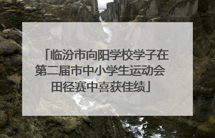 临汾市向阳学校学子在第二届市中小学生运动会田径赛中喜获佳绩